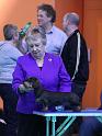 Crufts_dachshunds 1043